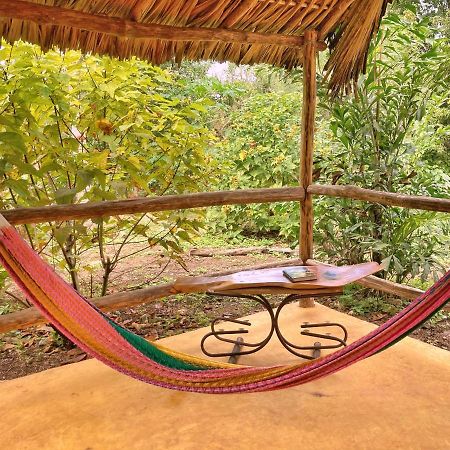 Tzucaceb Encantadora Villa Maya Tradicional En Rancho Agroecologico מראה חיצוני תמונה