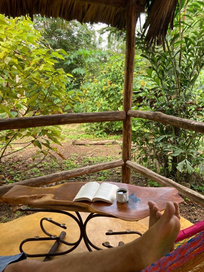 Tzucaceb Encantadora Villa Maya Tradicional En Rancho Agroecologico מראה חיצוני תמונה