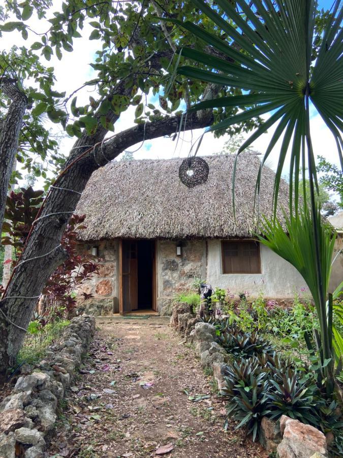 Tzucaceb Encantadora Villa Maya Tradicional En Rancho Agroecologico מראה חיצוני תמונה