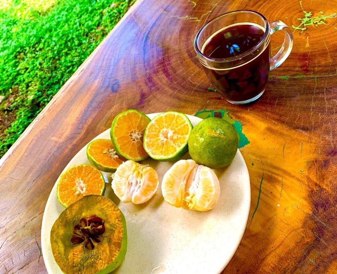 Tzucaceb Encantadora Villa Maya Tradicional En Rancho Agroecologico מראה חיצוני תמונה