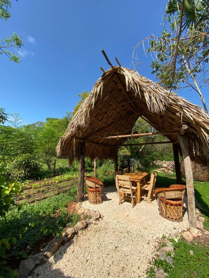 Tzucaceb Encantadora Villa Maya Tradicional En Rancho Agroecologico מראה חיצוני תמונה