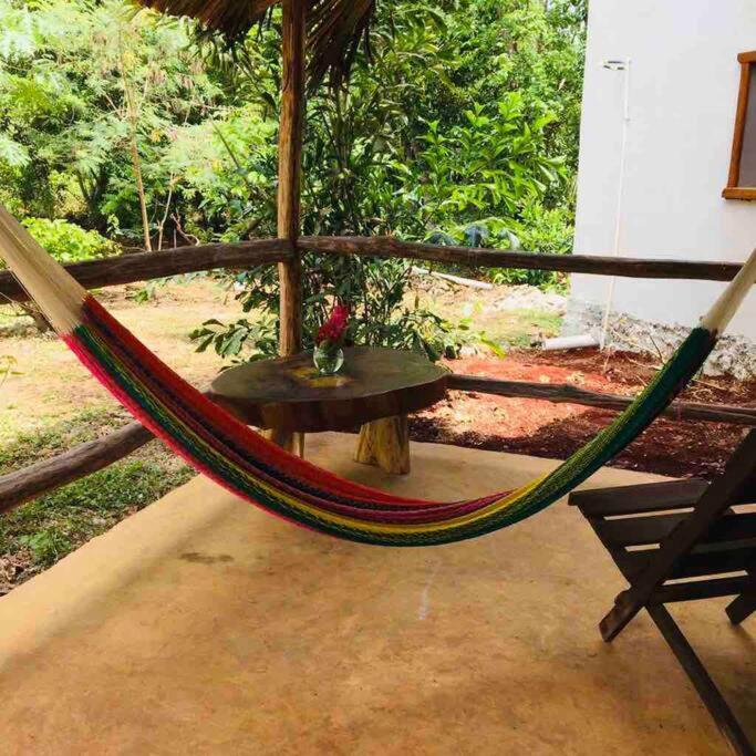 Tzucaceb Encantadora Villa Maya Tradicional En Rancho Agroecologico מראה חיצוני תמונה