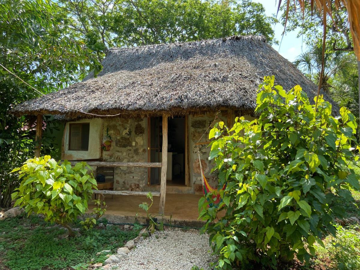 Tzucaceb Encantadora Villa Maya Tradicional En Rancho Agroecologico מראה חיצוני תמונה
