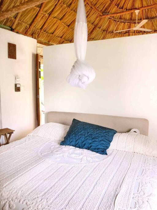 Tzucaceb Encantadora Villa Maya Tradicional En Rancho Agroecologico מראה חיצוני תמונה
