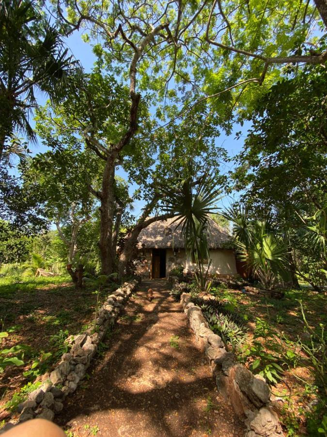 Tzucaceb Encantadora Villa Maya Tradicional En Rancho Agroecologico מראה חיצוני תמונה