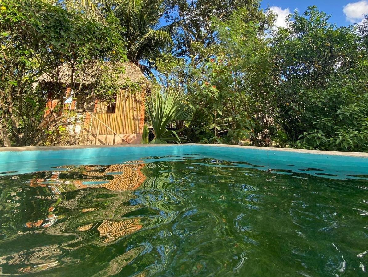 Tzucaceb Encantadora Villa Maya Tradicional En Rancho Agroecologico מראה חיצוני תמונה