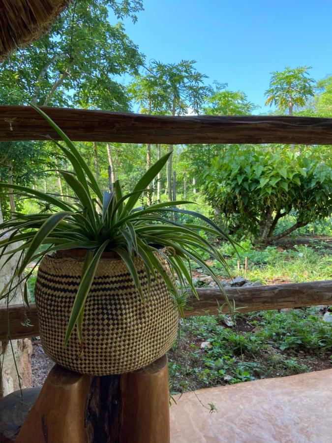 Tzucaceb Encantadora Villa Maya Tradicional En Rancho Agroecologico מראה חיצוני תמונה