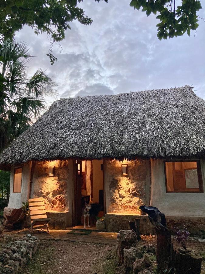 Tzucaceb Encantadora Villa Maya Tradicional En Rancho Agroecologico מראה חיצוני תמונה