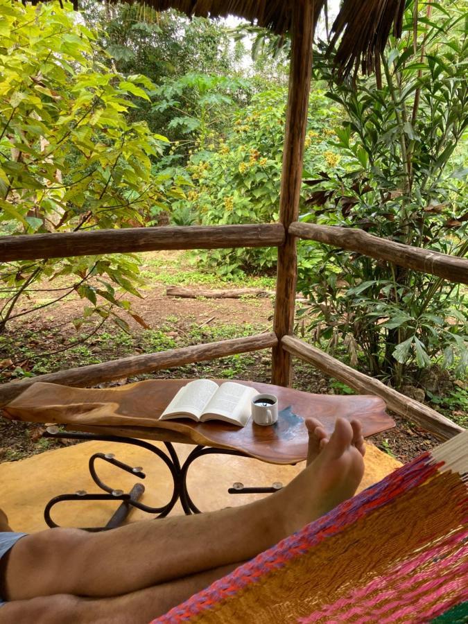 Tzucaceb Encantadora Villa Maya Tradicional En Rancho Agroecologico מראה חיצוני תמונה