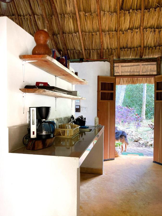 Tzucaceb Encantadora Villa Maya Tradicional En Rancho Agroecologico מראה חיצוני תמונה
