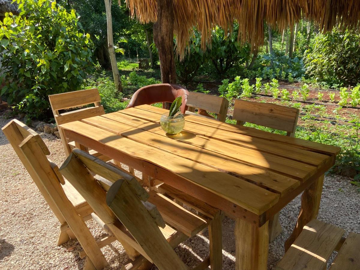 Tzucaceb Encantadora Villa Maya Tradicional En Rancho Agroecologico מראה חיצוני תמונה