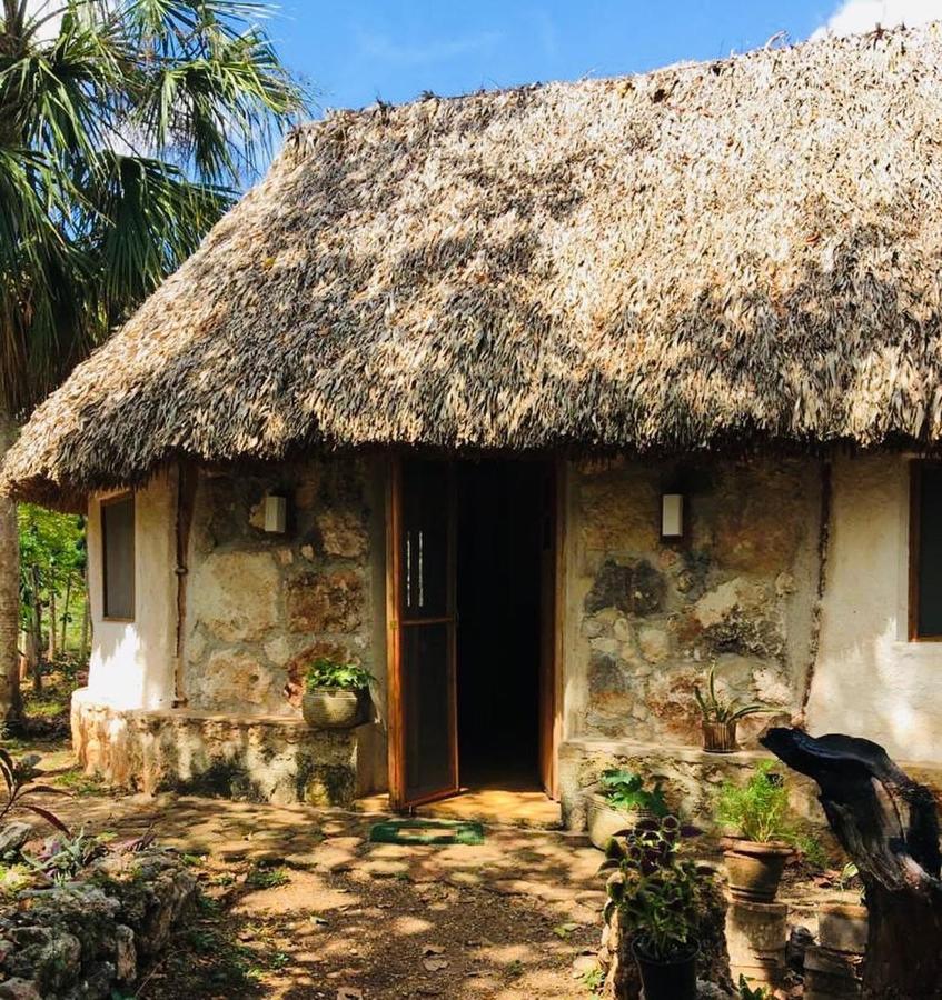 Tzucaceb Encantadora Villa Maya Tradicional En Rancho Agroecologico מראה חיצוני תמונה