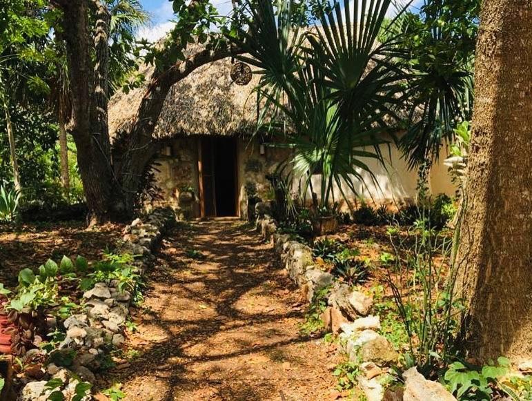 Tzucaceb Encantadora Villa Maya Tradicional En Rancho Agroecologico מראה חיצוני תמונה