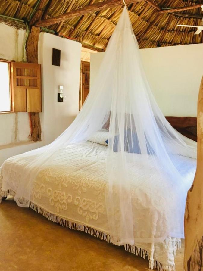 Tzucaceb Encantadora Villa Maya Tradicional En Rancho Agroecologico מראה חיצוני תמונה